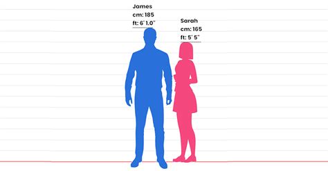 176cm 155cm|Height Charts